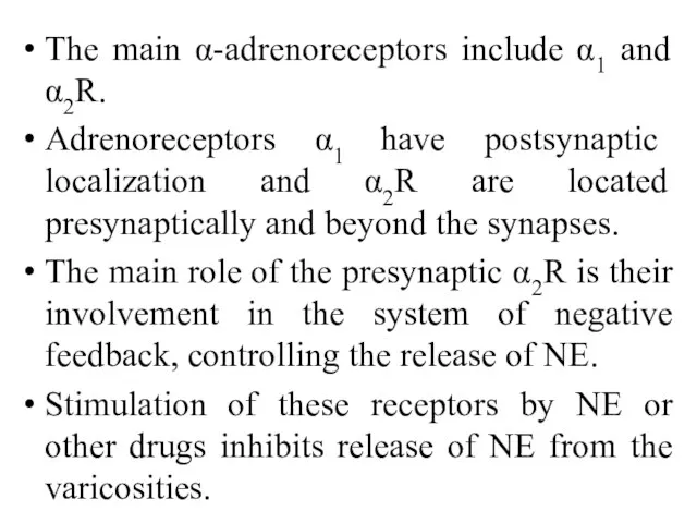 The main α-adrenoreceptors include α1 and α2R. Adrenoreceptors α1 have postsynaptic