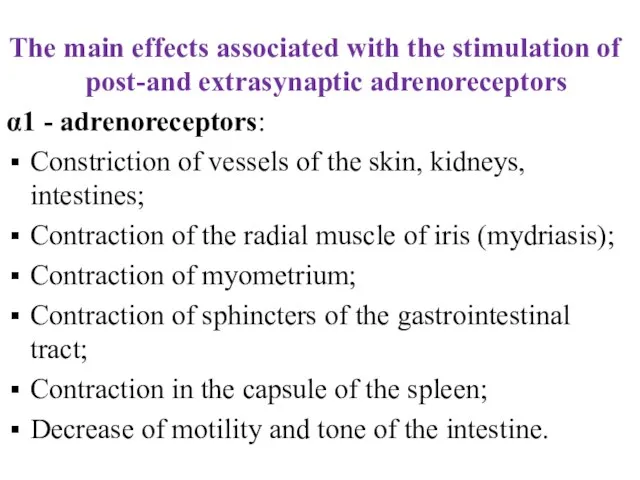 The main effects associated with the stimulation of post-and extrasynaptic adrenoreceptors