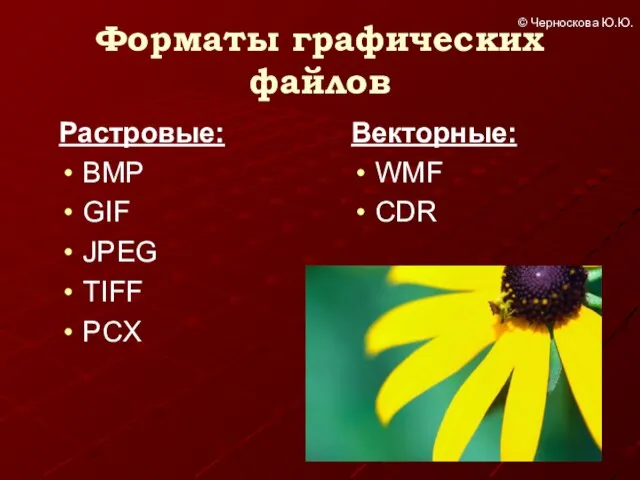 Форматы графических файлов Растровые: BMP GIF JPEG TIFF PCX Векторные: WMF CDR