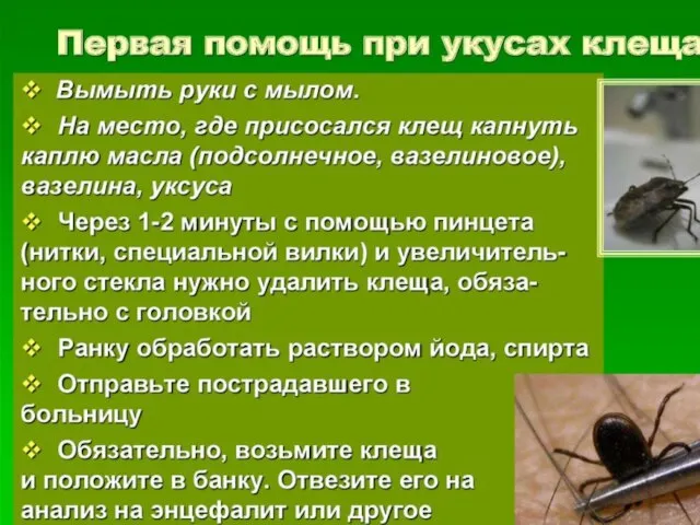 Первая помощь при укусах мошек, клещей 1) Возвратившись домой из леса,