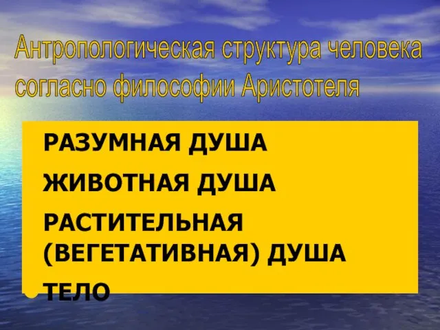 РАЗУМНАЯ ДУША ЖИВОТНАЯ ДУША РАСТИТЕЛЬНАЯ (ВЕГЕТАТИВНАЯ) ДУША ТЕЛО Антропологическая структура человека согласно философии Аристотеля