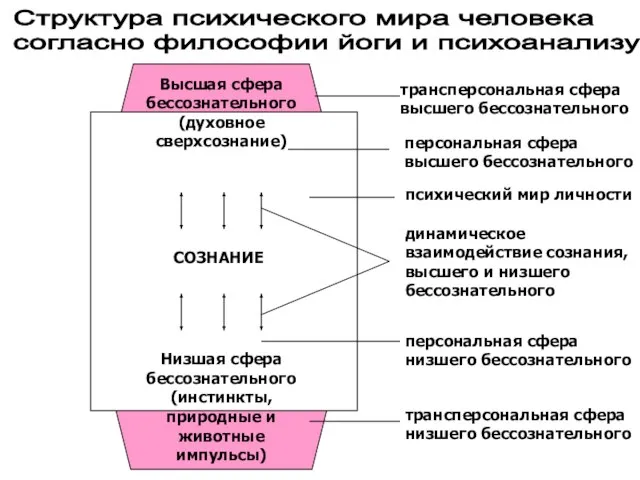 Структура психического мира человека согласно философии йоги и психоанализу Высшая сфера