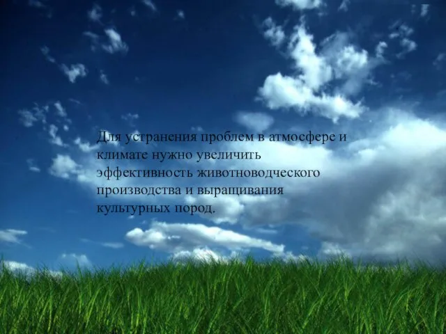 Для устранения проблем в атмосфере и климате нужно увеличить эффективность животноводческого производства и выращивания культурных пород.