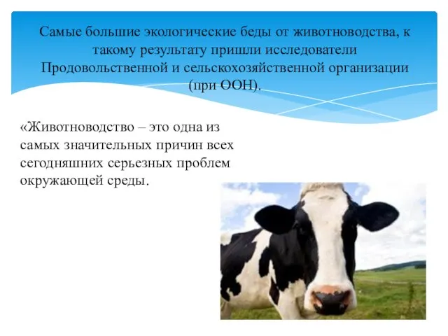 «Животноводство – это одна из самых значительных причин всех сегодняшних серьезных