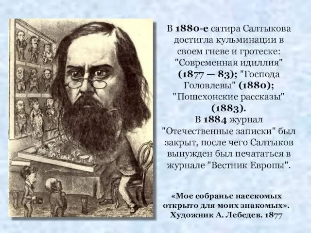 «Мое собранье насекомых открыто для моих знакомых». Художник А. Лебедев. 1877