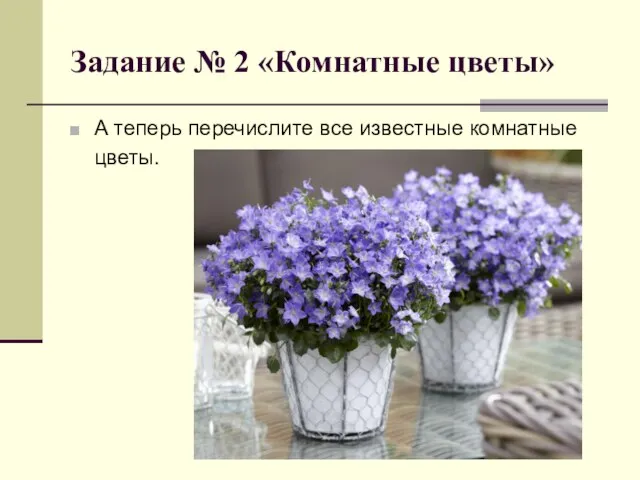 Задание № 2 «Комнатные цветы» А теперь перечислите все известные комнатные цветы.