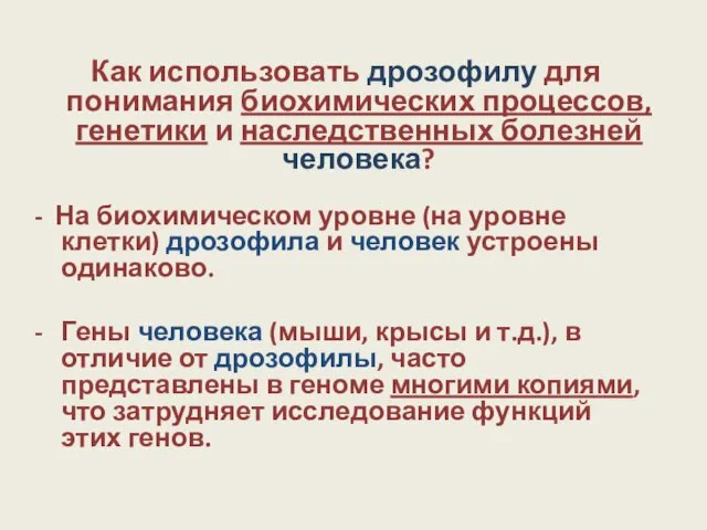 Как использовать дрозофилу для понимания биохимических процессов, генетики и наследственных болезней