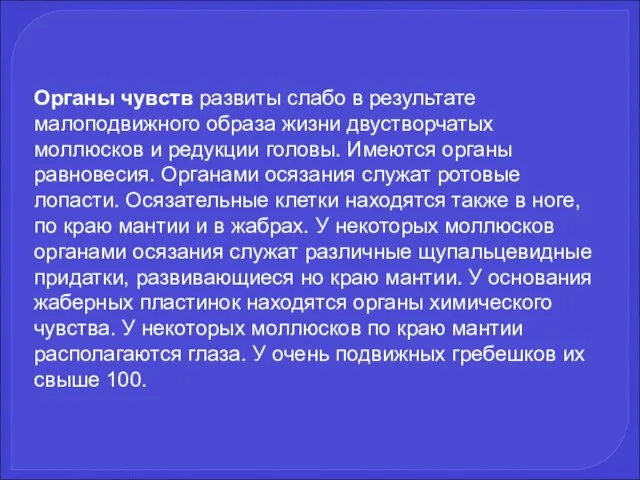 Органы чувств развиты слабо в результате малоподвижного образа жизни двустворчатых моллюсков