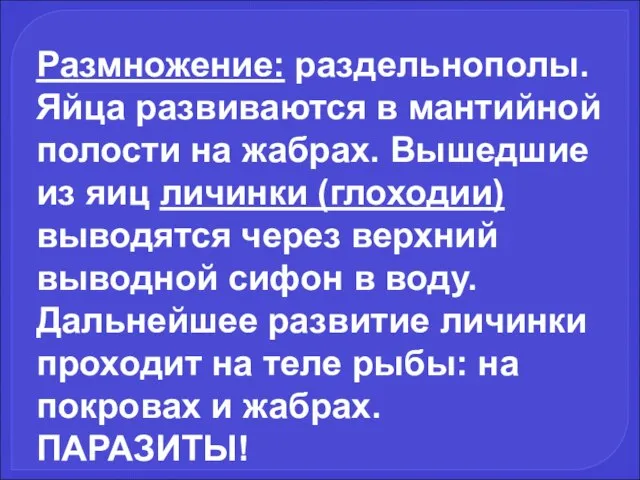 Размножение: раздельнополы. Яйца развиваются в мантийной полости на жабрах. Вышедшие из