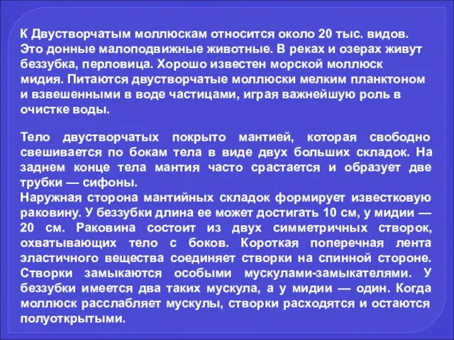 К Двустворчатым моллюскам относится около 20 тыс. видов. Это донные малоподвижные