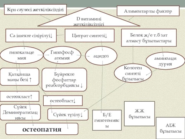 Күн сәулесі жеткіліксіздігі Алиментарлы фактор D витамині жеткіліксіздігі Ca ішекте сіңірілуі↓