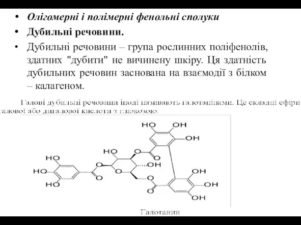 Олігомерні і полімерні фенольні сполуки Дубильні речовини. Дубильні речовини – група