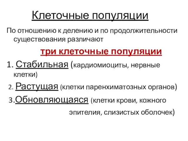 Клеточные популяции По отношению к делению и по продолжительности существования различают