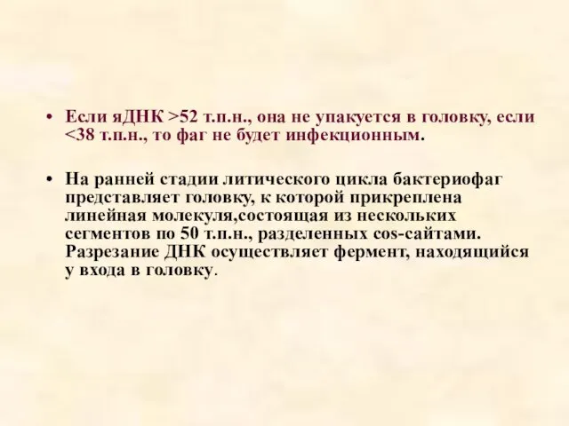 Если яДНК >52 т.п.н., она не упакуется в головку, если На