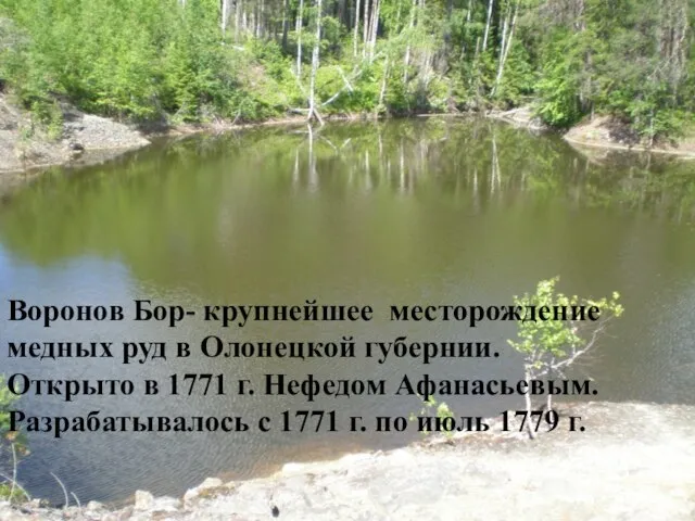 Воронов Бор- крупнейшее месторождение медных руд в Олонецкой губернии. Открыто в
