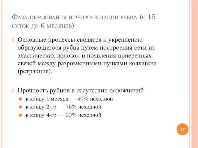 Фаза образования и реорганизации рубца (с 15 суток до 6 месяцев)