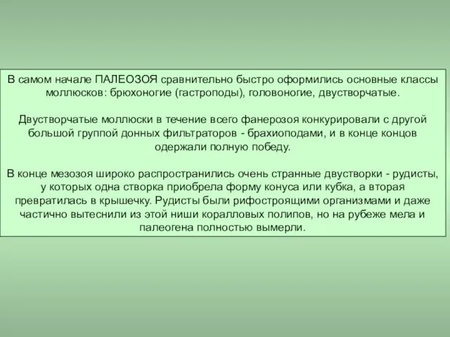 В самом начале ПАЛЕОЗОЯ сравнительно быстро оформились основные классы моллюсков: брюхоногие