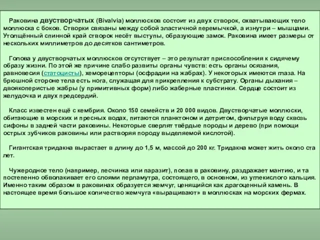 Раковина двустворчатых (Bivalvia) моллюсков состоит из двух створок, охватывающих тело моллюска