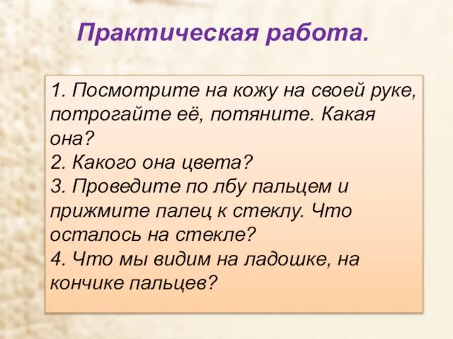 Практическая работа. 1. Посмотрите на кожу на своей руке, потрогайте её,