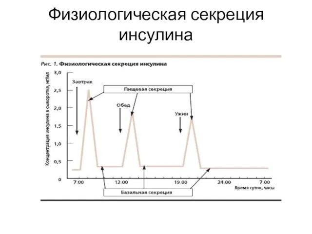 Физиологическая секреция инсулина