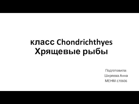 класс Chondrichthyes Хрящевые рыбы Подготовила: Ширяева Анна МЕНМ-170606