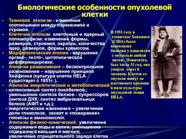 Биологические особенности опухолевой клетки Тканевой атипизм - изменение соотношения между паренхимой