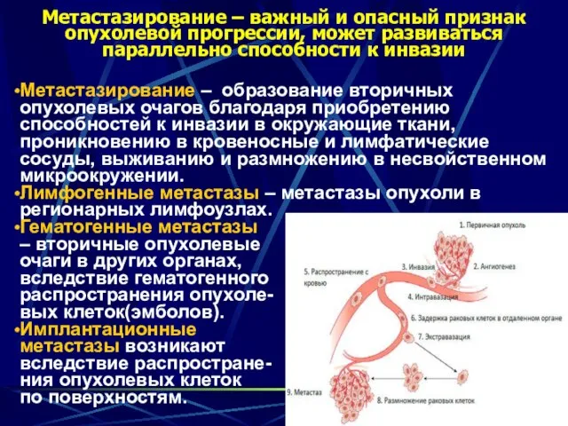 Метастазирование – важный и опасный признак опухолевой прогрессии, может развиваться параллельно