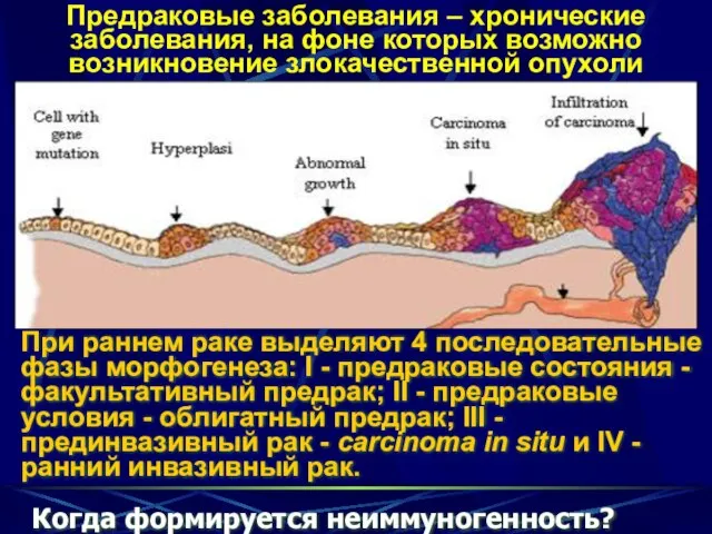 Предраковые заболевания – хронические заболевания, на фоне которых возможно возникновение злокачественной