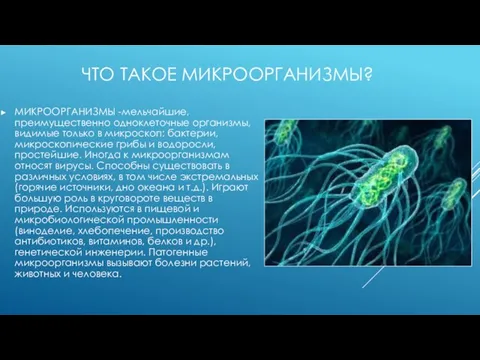 ЧТО ТАКОЕ МИКРООРГАНИЗМЫ? МИКРООРГАНИЗМЫ -мельчайшие, преимущественно одноклеточные организмы, видимые только в