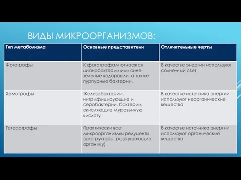 ВИДЫ МИКРООРГАНИЗМОВ: