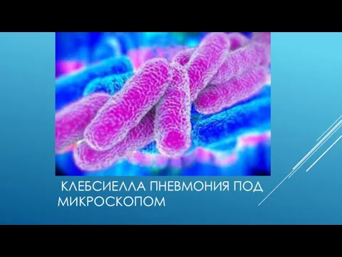 КЛЕБСИЕЛЛА ПНЕВМОНИЯ ПОД МИКРОСКОПОМ