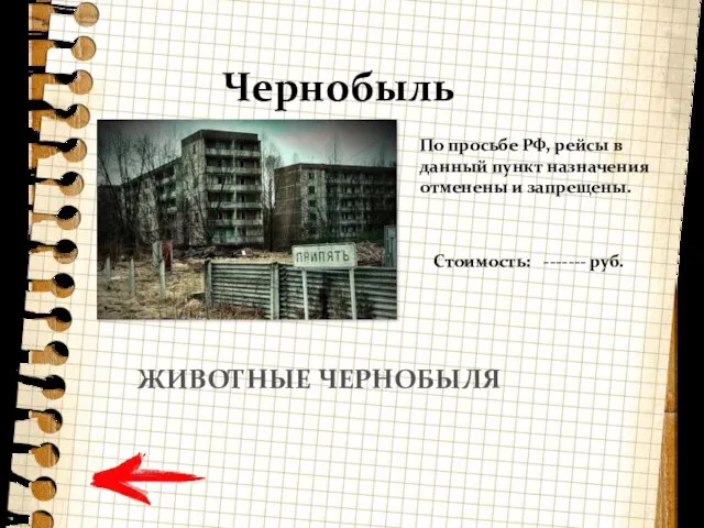 Чернобыль По просьбе РФ, рейсы в данный пункт назначения отменены и