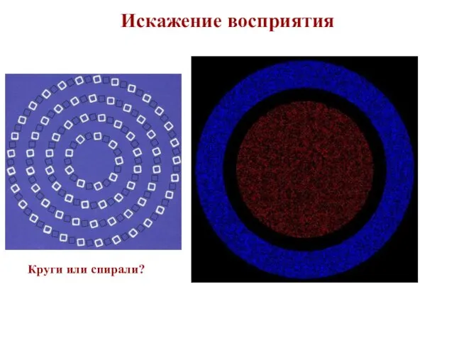 Искажение восприятия Круги или спирали?