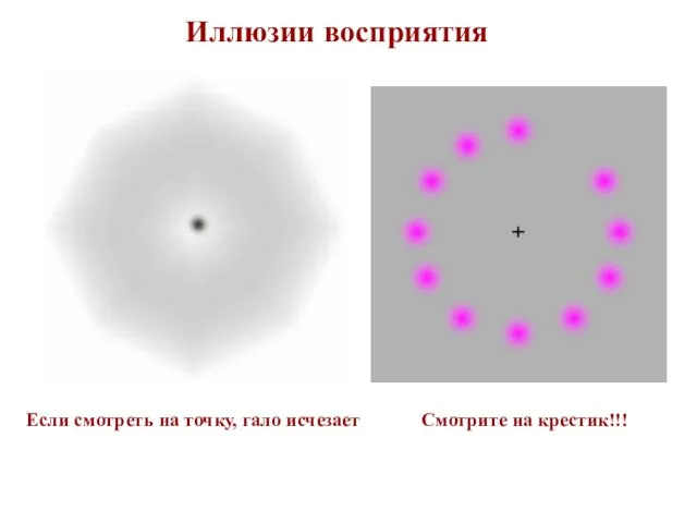 Иллюзии восприятия Если смотреть на точку, гало исчезает Смотрите на крестик!!!