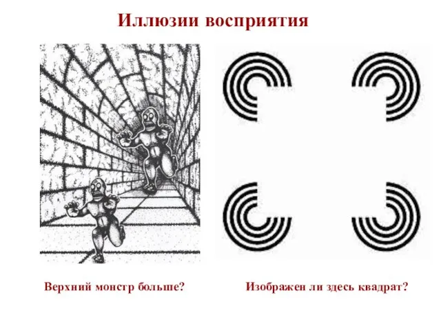 Иллюзии восприятия Верхний монстр больше? Изображен ли здесь квадрат?