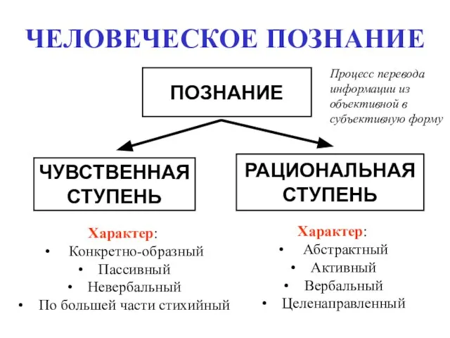 ЧЕЛОВЕЧЕСКОЕ ПОЗНАНИЕ ПОЗНАНИЕ ЧУВСТВЕННАЯ СТУПЕНЬ РАЦИОНАЛЬНАЯ СТУПЕНЬ Характер: Абстрактный Активный Вербальный