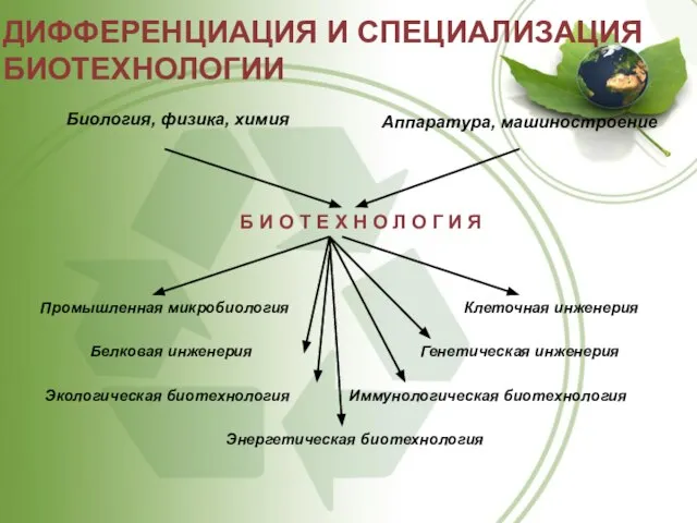 ДИФФЕРЕНЦИАЦИЯ И СПЕЦИАЛИЗАЦИЯ БИОТЕХНОЛОГИИ