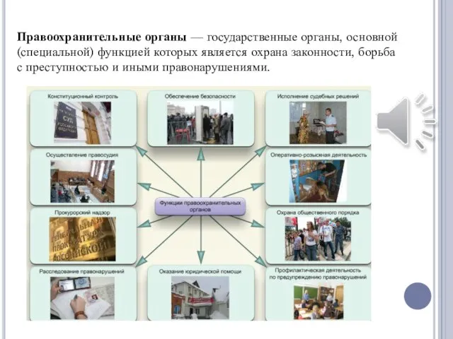 Правоохранительные органы — государственные органы, основной (специальной) функцией которых является охрана