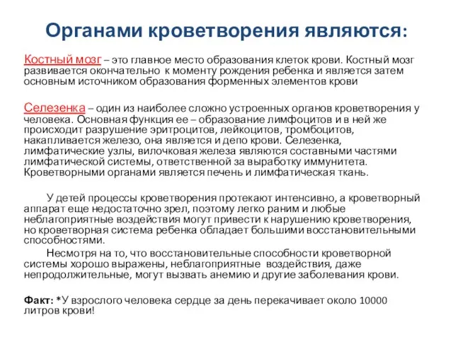 Органами кроветворения являются: Костный мозг – это главное место образования клеток