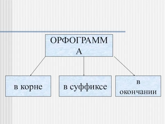 ОРФОГРАММА в корне в суффиксе в окончании