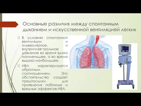 Основные различия между спонтанным дыханием и искусственной вентиляцией легких В условиях