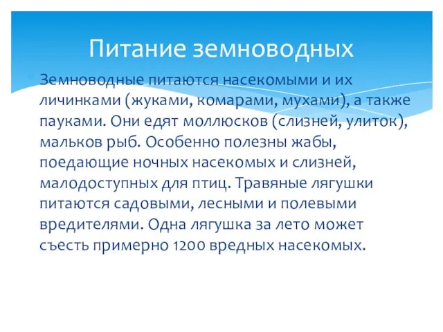 Земноводные питаются насекомыми и их личинками (жуками, комарами, мухами), а также