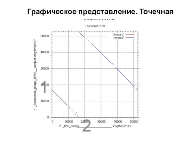 Графическое представление. Точечная матрица.