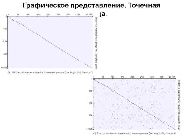 Графическое представление. Точечная матрица.