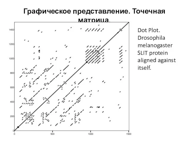 Графическое представление. Точечная матрица. Dot Plot. Drosophila melanogaster SLIT protein aligned against itself.