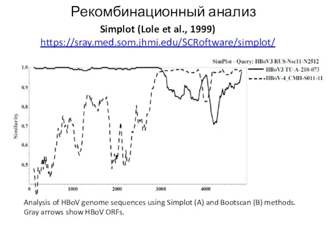 Рекомбинационный анализ Simplot (Lole et al., 1999) https://sray.med.som.jhmi.edu/SCRoftware/simplot/ Analysis of HBoV