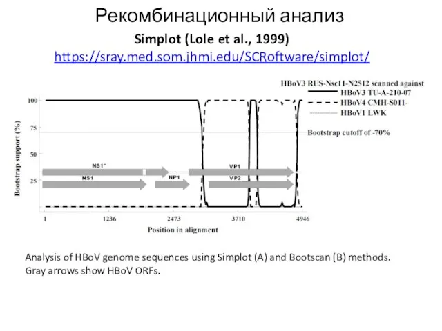 Рекомбинационный анализ Simplot (Lole et al., 1999) https://sray.med.som.jhmi.edu/SCRoftware/simplot/ Analysis of HBoV