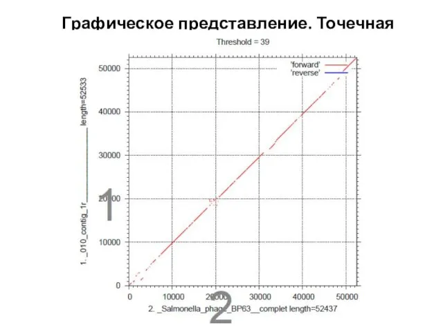 Графическое представление. Точечная матрица.