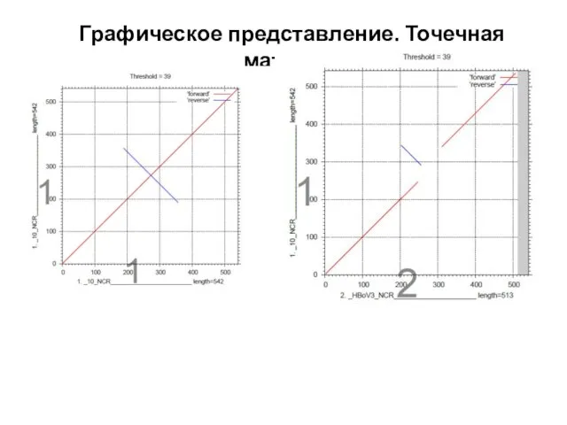 Графическое представление. Точечная матрица.