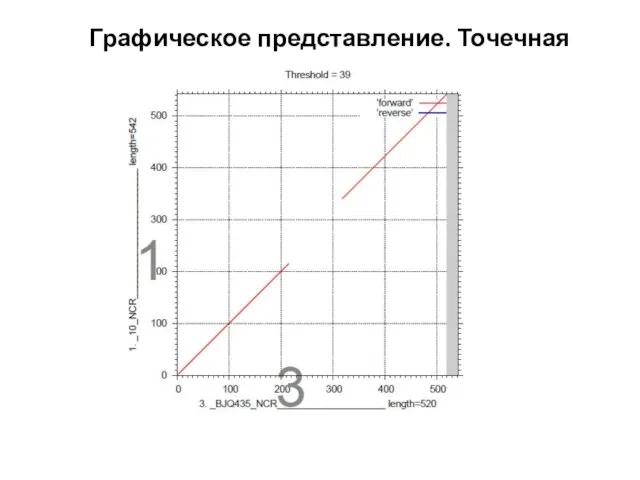 Графическое представление. Точечная матрица.